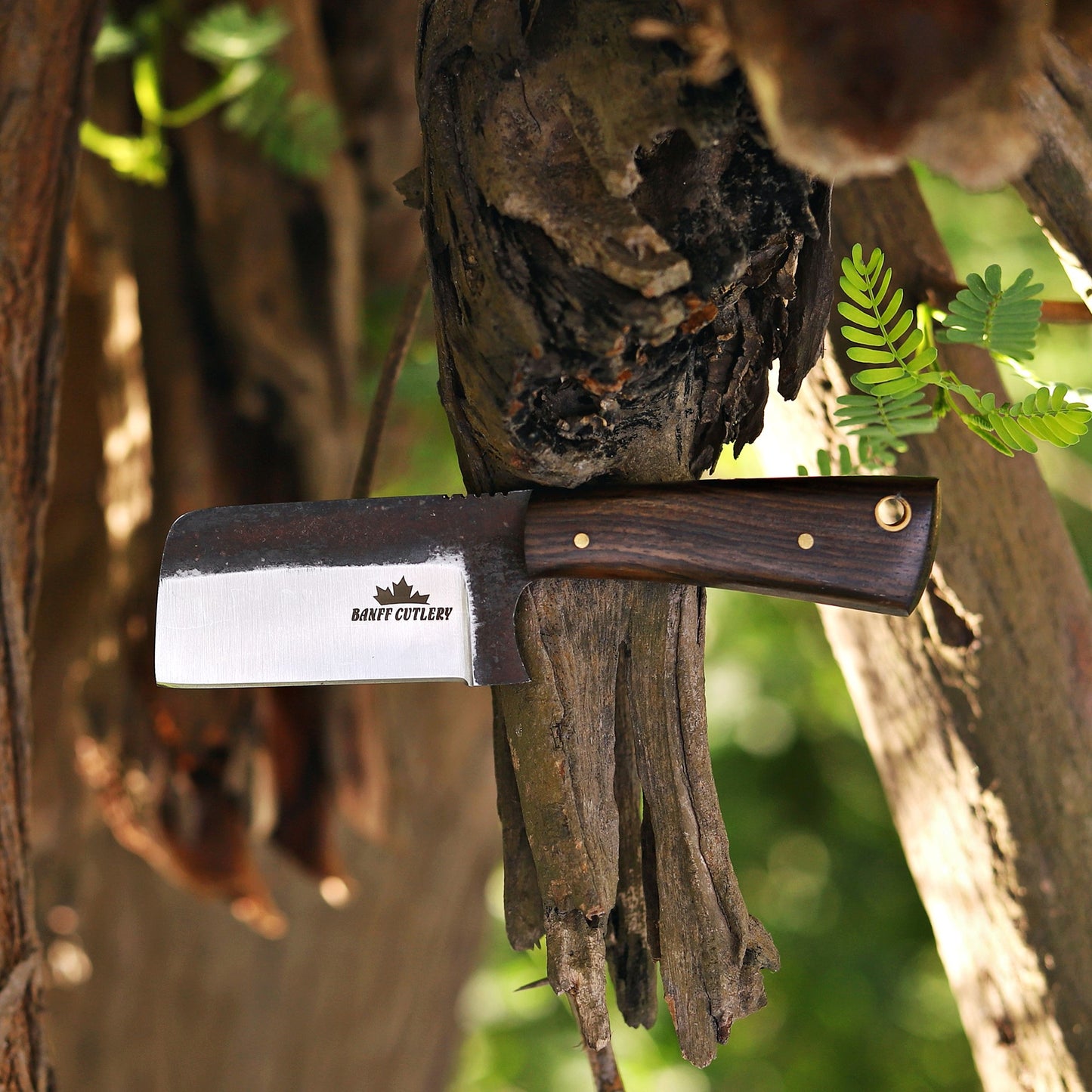 Banff - Short Stack Fixed Blade Pocket Knife with leather Sheath